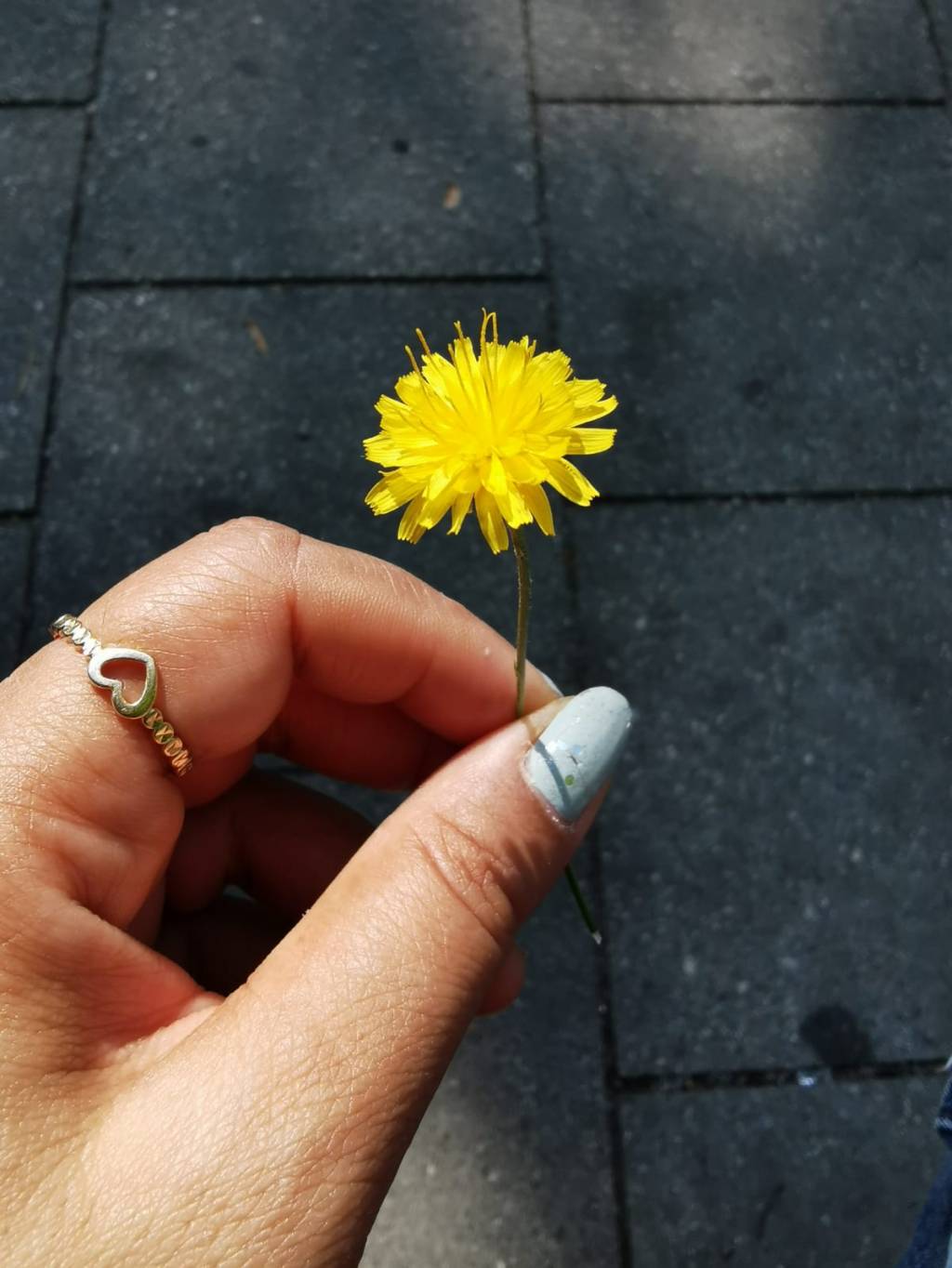 One Infinite Blessing